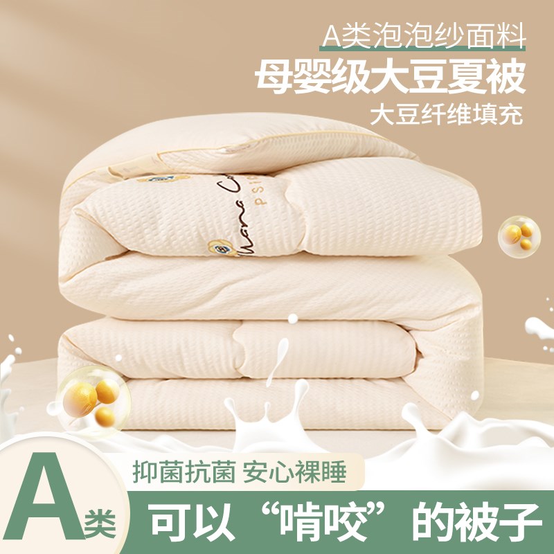 A类大豆纤维被子泡泡纱绣花加厚保暖冬被2023新款春秋被棉被芯