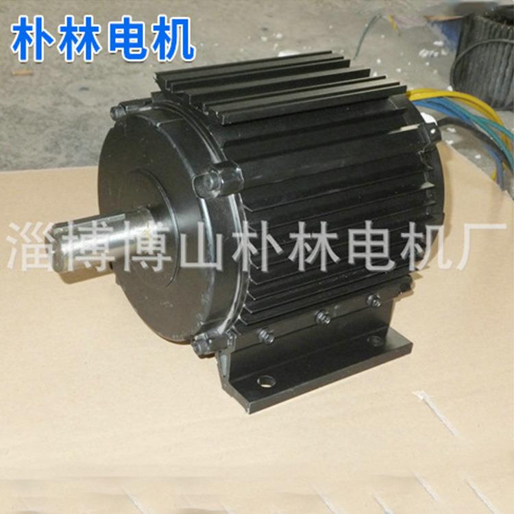 朴林厂家供应150WS150-00电动车差速电机24V无刷调速直流电机