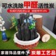 川土活性炭雕工艺品摆件竹炭除潮木炭除味除甲醛碳创意卧室装 饰品