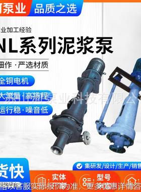 PNL系列泥浆泵 单级单吸河道清淤排污泵 矿用工地打桩用抽沙泵