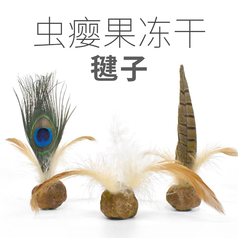 领养之家/猫咪旺农场虫瘿果冻干玉米羽毛猫玩具猫磨牙自嗨减压
