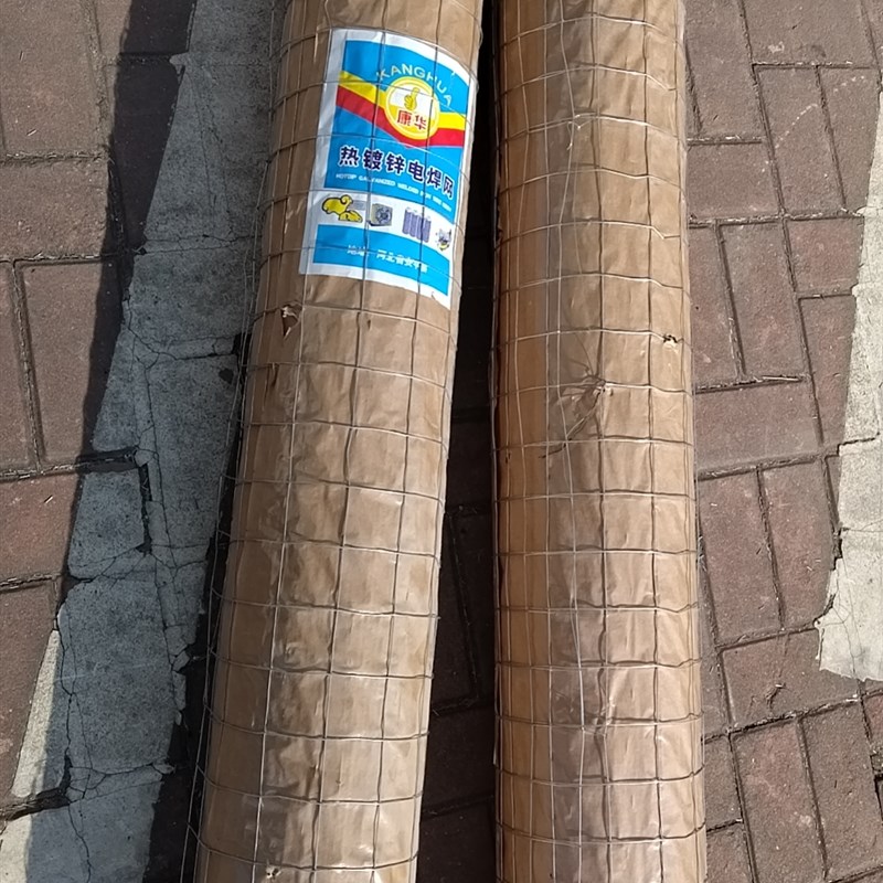 养殖网疫苗专用网分栏网围鸡网