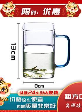 玻璃子方形绿茶杯耐热家用杯水无盖单层泡茶杯杯带把
