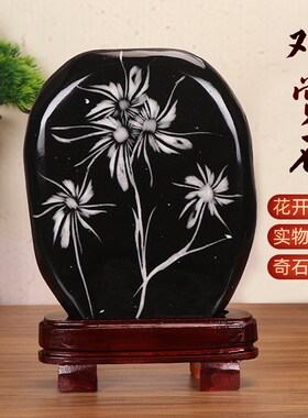 菊石牡丹石奇石天然观赏石头室内客厅玄关办公室靠山石