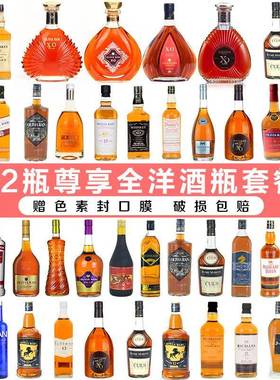 酒柜装饰品洋酒瓶彷真酒道具家居客厅玄关酒吧店铺摆件摆设空瓶