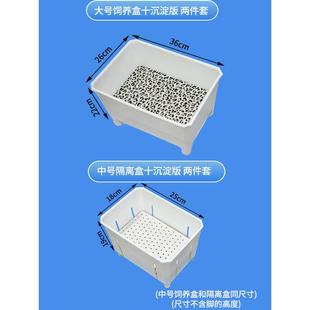 毛色繁殖箱+沉淀板2件套全新单件套黑白黄透明蛋龟宠物核心头盔