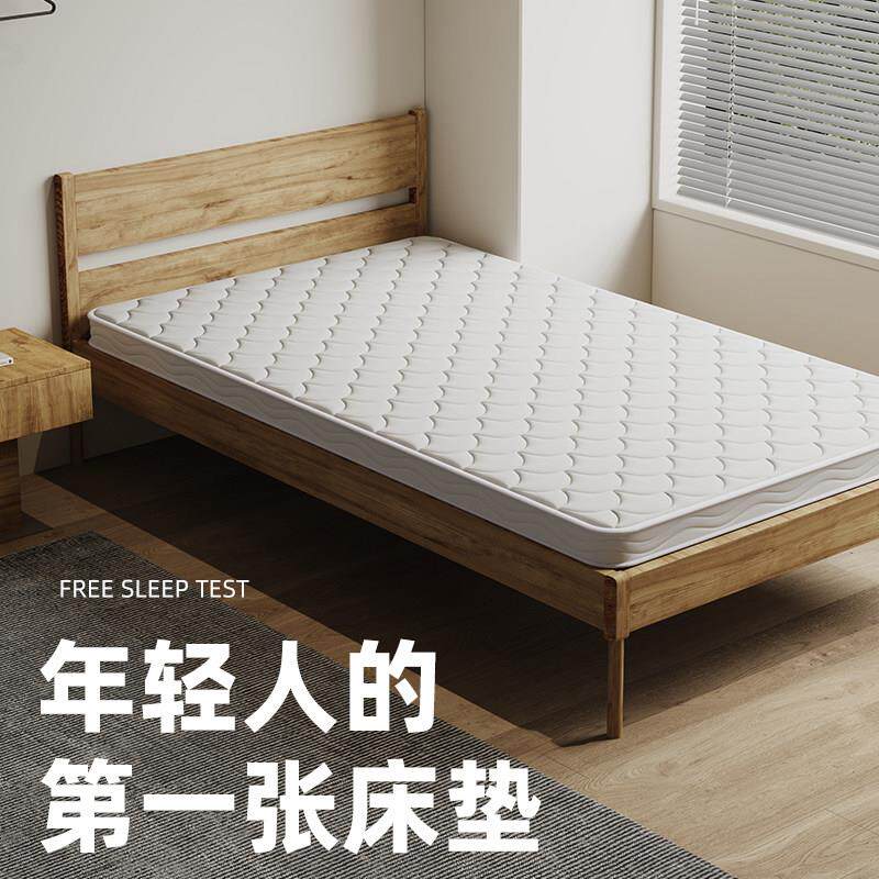 床垫租房专用天然椰棕榈硬床垫经济型护脊环保无胶水不塌陷可定制