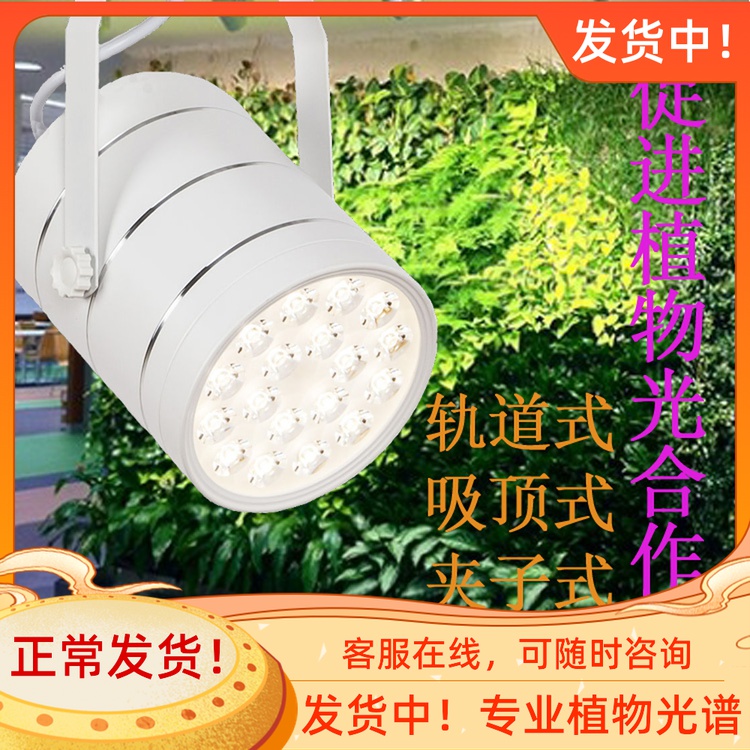 定制绿植墙补光灯植物墙生长灯绿化工程专用LED射灯全光谱植物灯