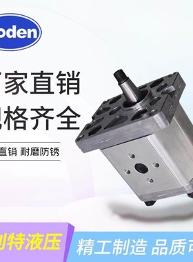 齿轮泵BHP2A0D3/6/8/10/12/16/18/20/22/25/28C5L3-Y50带溢流阀