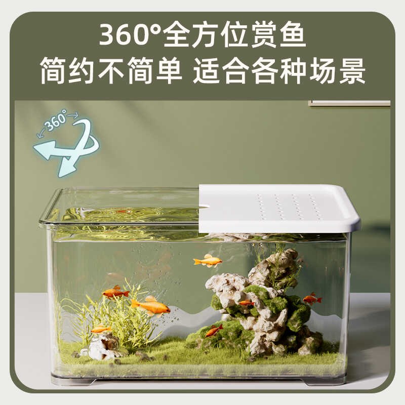超白带盖鱼缸小型客厅乌龟缸卧室玻璃桌面螃蟹生态缸寄居蟹专用缸