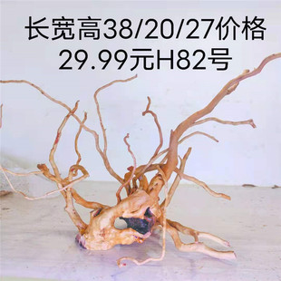 已煮 造景杜鹃根 印山红根 沉木 莫斯树流木爬宠箱 鱼缸水族装饰