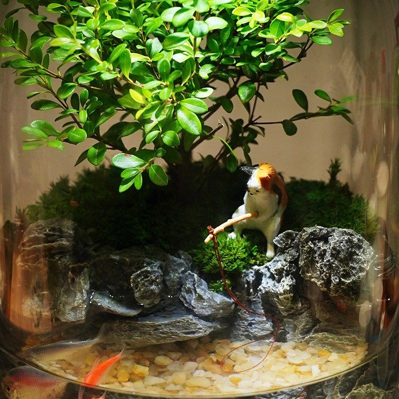 【小猫钓鱼】苔藓微景观办公室创意生态缸鱼缸桌面生态瓶摆件成品