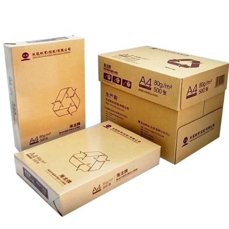 玖龙牌复印纸海龙打印复印纸玖龙A4纸70克80克玖龙纸5包500页整箱