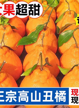 【下单立减30】丑橘不是耙耙柑甜橘子新鲜蜜橘桔子时令水果丑桔