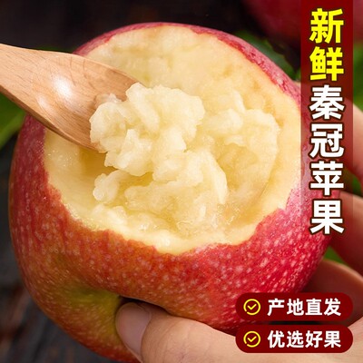 【下单立减30】正宗陕西秦冠粉面苹果新鲜沙甜糯可刮泥水果当季