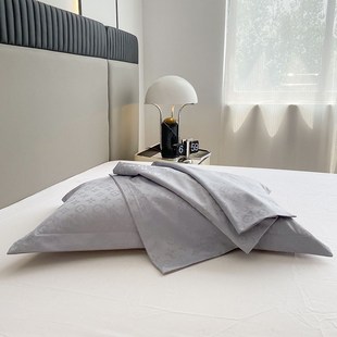 防水防螨枕套家用一对装 防口水枕巾枕头套枕芯保护套48cmx74cm