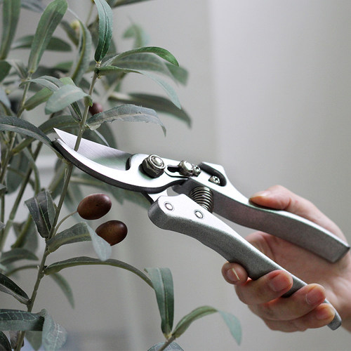 不锈钢剪刀园林专用修剪果树修枝花艺神器修枝剪园艺剪刀剪树枝