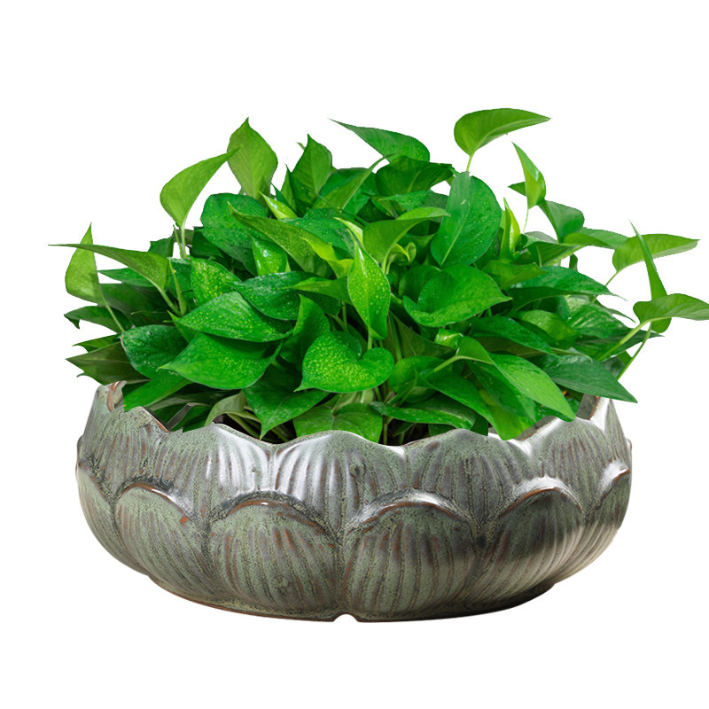 铜钱草水仙水培花盆陶瓷家用阳台水养荷花睡莲一叶莲大号仿石无孔,鲜花速递/花卉仿真/绿植园艺,花盆,淘宝优惠券,粉丝福利购,淘宝优惠卷