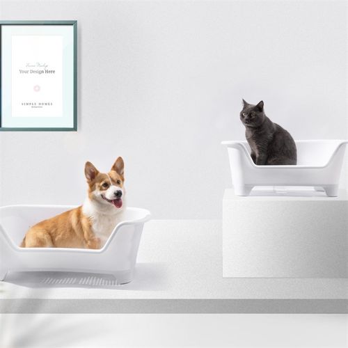 狗狗洗澡盆宠物一体缕空狗床耐摔四季通用沙发猫狗便捷通用洗澡盆