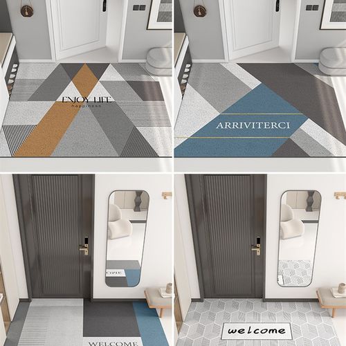 地垫入户门垫进门门口脚垫轻奢2022新款玄关进户门可裁剪丝圈地毯