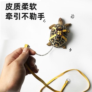 溜龟绳陆龟牵引绳乌龟绳宠物牵引背带可调节背心外出系套绑训练绳