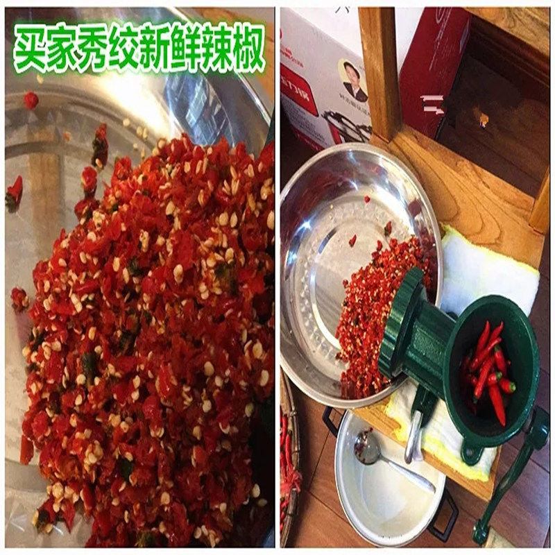 10号铸铁灌香肠机手动绞肉机手摇绞鸡架绞鱼机餈粑辣椒大酱碎肉宝