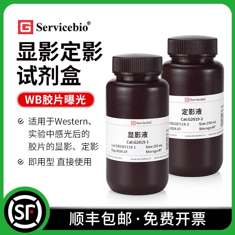 赛维尔 显影定影试剂盒显影液定影液 WB胶片曝光 科研试剂2x
