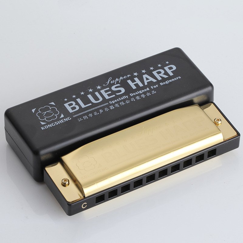 孔声10孔C调布鲁斯口琴初学 十孔口琴儿童玩具口琴乐器演奏型