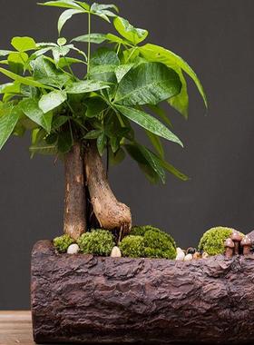 发财树办公室装饰客厅简约网红玄关送礼陶瓷绿植盆景创意桌面摆件