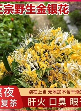 正宗江西大山里的野生金银花