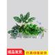 彷真绿植假植物组合彷生花草绿饰断萝zlll002栅栏造室内隔花槽景