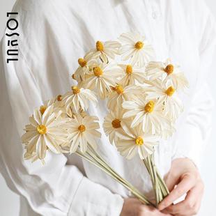 木槿干花文心gan干花兰干花小雏小滨菊菊ins家居装饰花永生花装饰