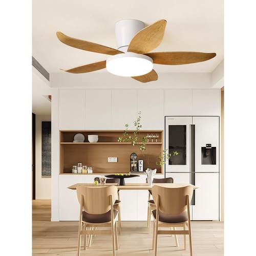 mHoe餐厅客厅风扇现代约大风TBN力家用一体式简静音智能变频电灯