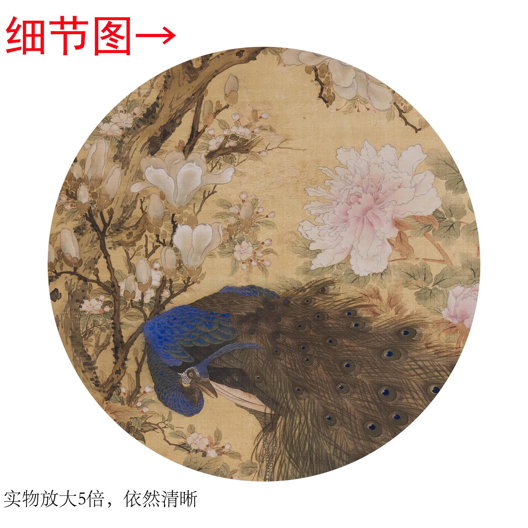 清沈铨《孔雀玉兰牡丹》客厅书房茶室装饰挂画玄关花鸟高清卷轴图片