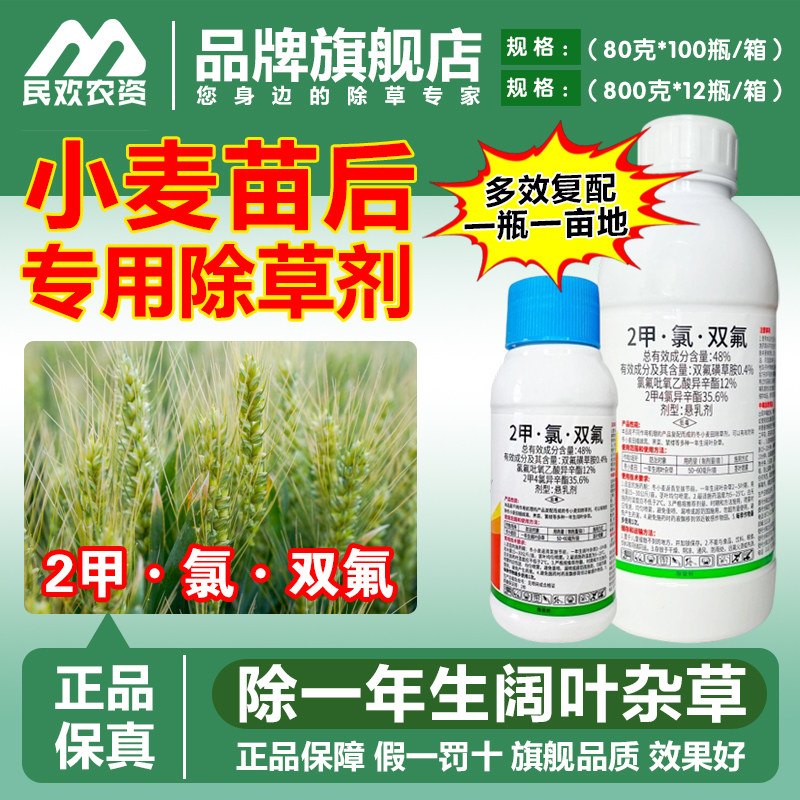 小麦苗后除草专用剂炔草酯2甲氯双氟禾阔双除节节草野燕麦除草剂