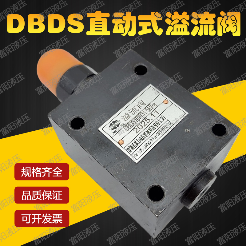 建湖县威力液压直动溢流阀DBDS10
