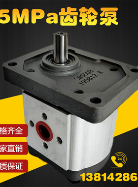 齿轮泵 调直机高压泵CBN-G310 G314 G306 G320 G325 G316液压油泵