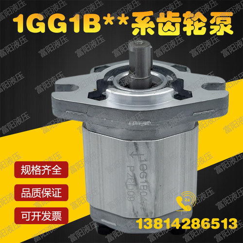 液压齿轮泵1GG1B04R/05R/06R/07R