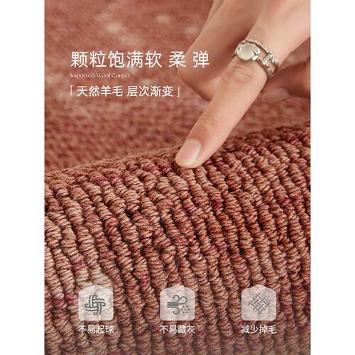 羊毛FMS进洗口式地毯客厅2025新款免可擦覆床边地垫法古卧室中古
