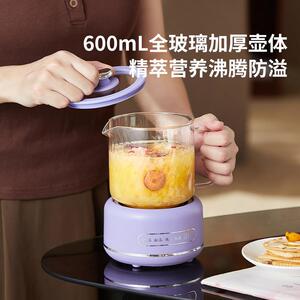 快办公室小型养人生壶多功能全壶玻璃迷你煮茶器一烧水壶YS-3602
