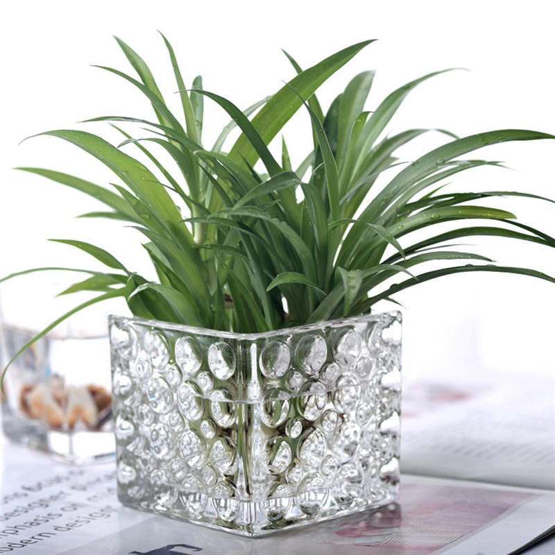 无铅水晶玻璃瓶 圆点玻璃花瓶 水培植物玻璃方缸花器