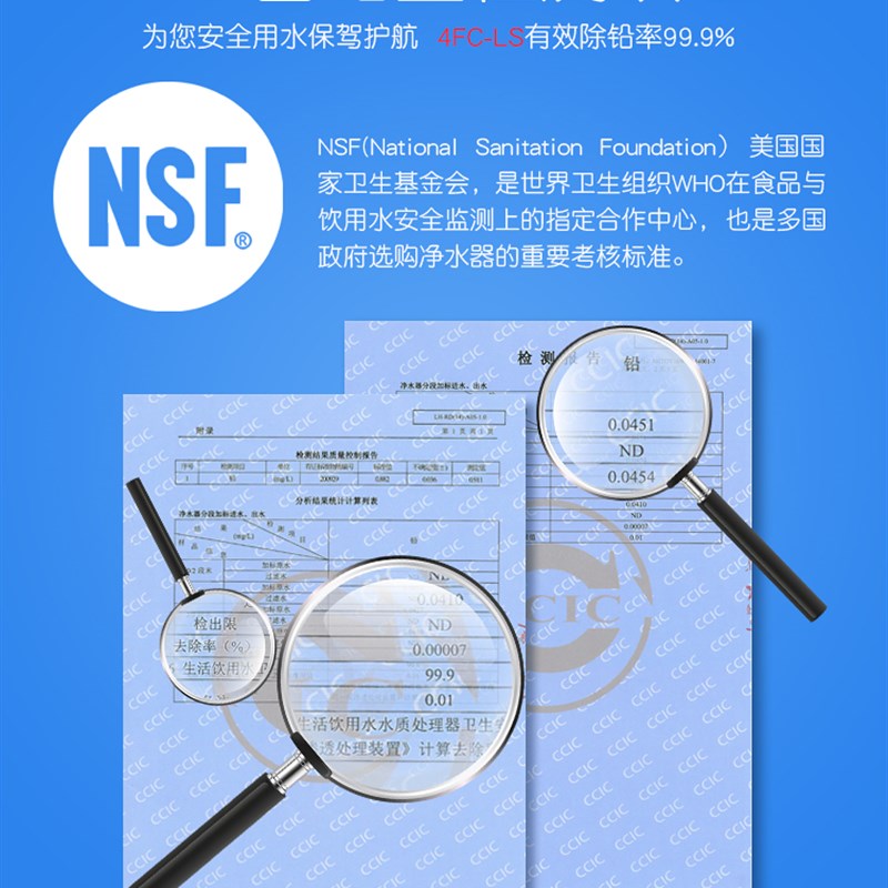 爱惠浦净水器主滤芯4FC-LS直饮净水器滤芯/爱惠浦4FC-L主滤芯