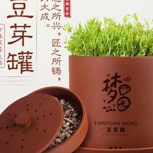 品新紫砂家用豆芽机全自动豆芽罐发豆G芽神器花生芽发芽盆豆芽培