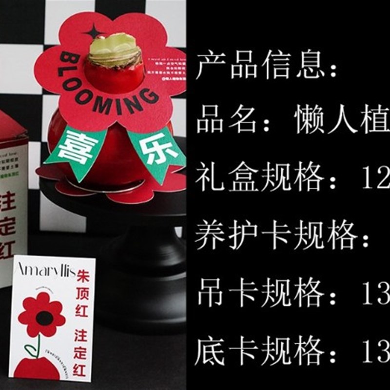 新年花束装饰富贵朱顶红盒子包装礼盒空盒礼盒装礼品盒吊牌养护