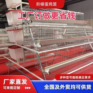 厂家直供可供外贸 四层四门阶梯蛋鸡笼养鸡场热镀锌养殖笼层叠式
