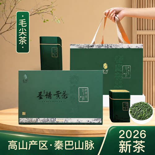 圣情毛尖绿茶浓香型礼盒装