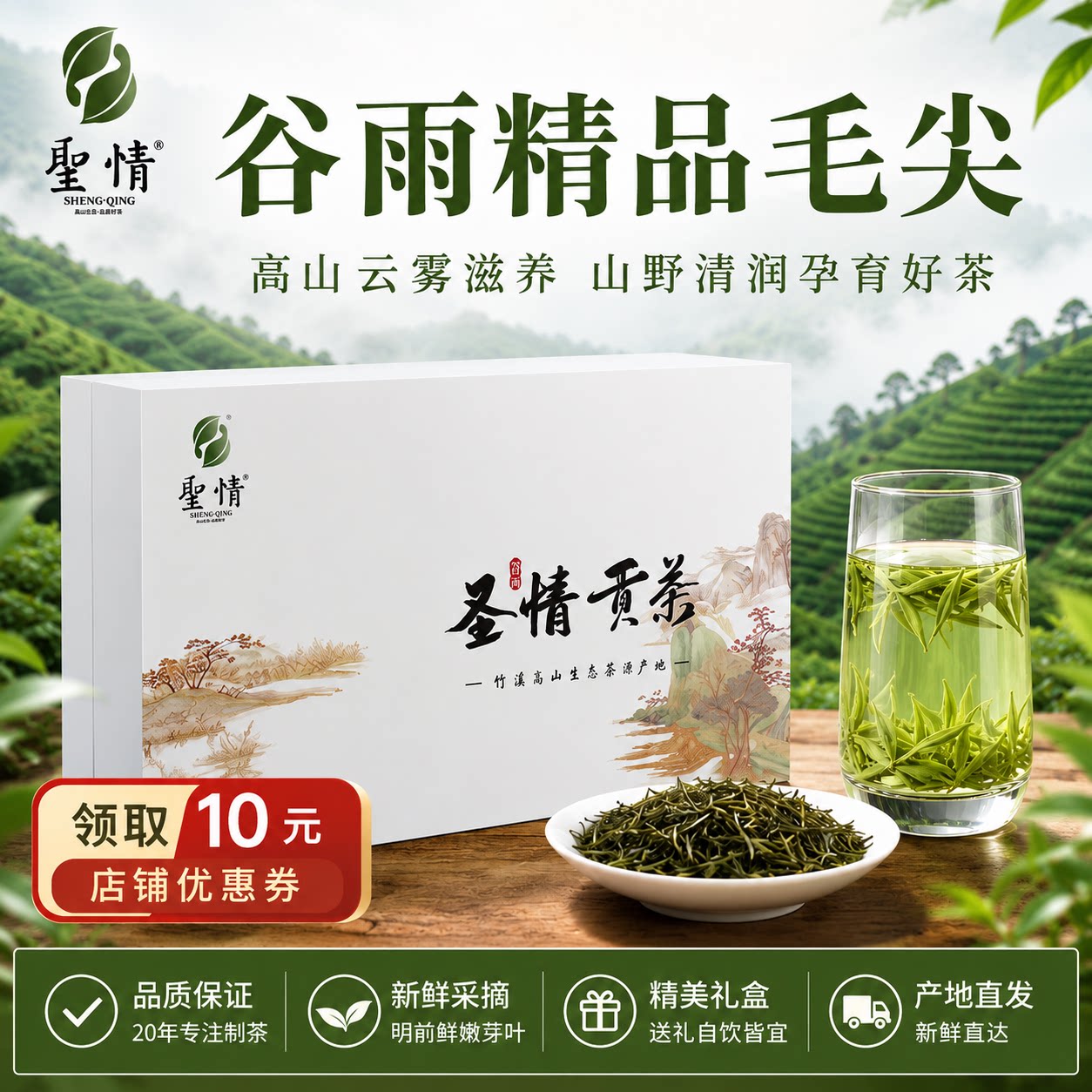 2026年谷雨系列毛尖高山云雾绿茶