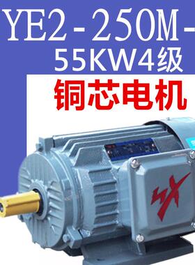 55W4级电机YE2-250M-4极三相异步电动机55千瓦四级YX3YE3VF2纯铜
