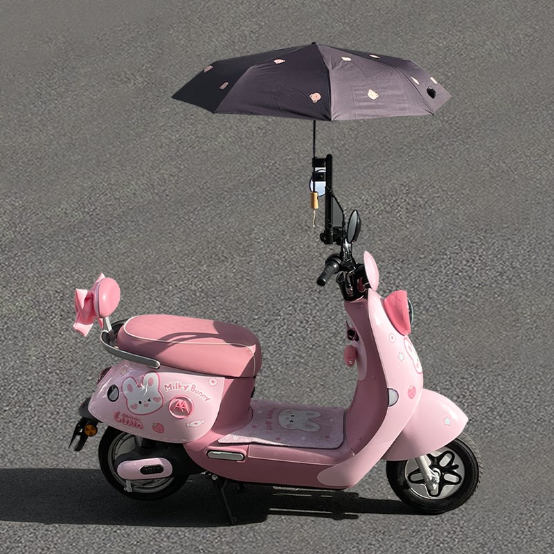 电动车雨伞支架踏板电瓶车撑伞遮阳伞支撑架摩托车通用伞架固定器