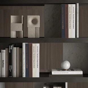 陈列装 样板房书柜桌面软装 饰书 饰真书翻页风格 黑白棕米装